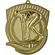 Medal złoty 80mm x 60mm - pływanie MD8062/G