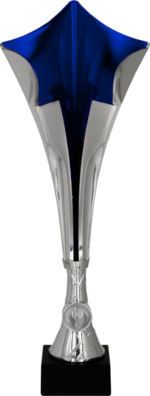 Puchar plastikowy srebrno-niebieski 8372