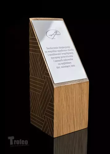 Zdjęcie produktu Statuetka PODZIĘKOWANIE ZA WSPÓŁPRACĘ 4
