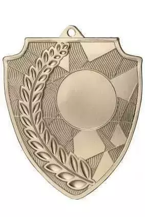 Zdjęcie produktu Medal srebrny 70mm x 60mm MMC7060/S