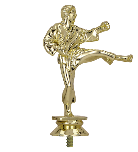 Zdjęcie produktu Figurka plastikowa - karate