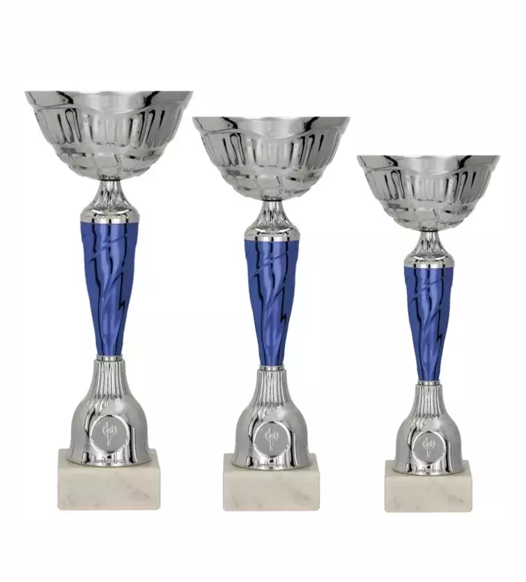 Zdjęcie produktu Zestaw pucharów - Puchar metalowy srebrno-niebieski 9258ABC - TABLICZKI OPISOWE W CENIE 