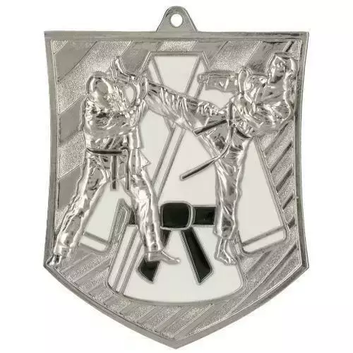 Zdjęcie produktu  Medal odlewany srebrny – karate MD8054/S