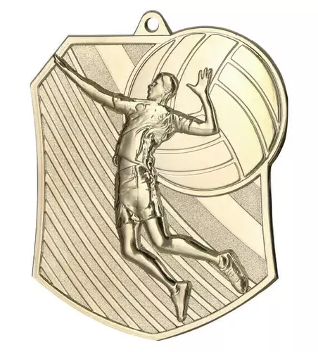 Zdjęcie produktu Medal srebrny - siatkówka MD8047/S
