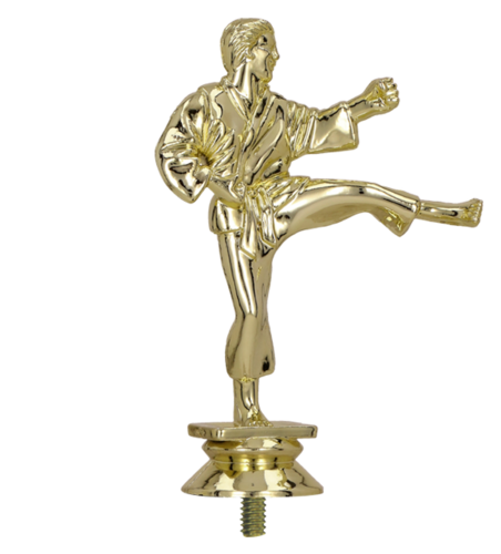 Zdjęcie produktu Figurka plastikowa - karate