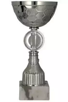 Zdjęcie produktu Puchar metalowy srebrny NT951C