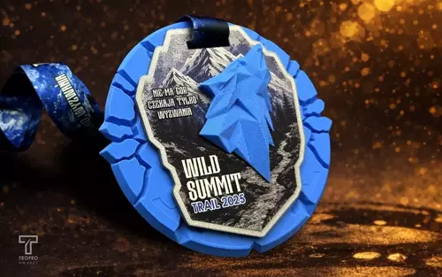 Zdjęcie produktu Medal WILD SUMMIT TRAIL 2025